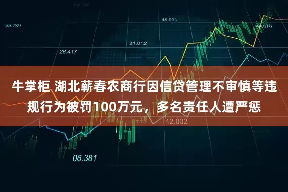 牛掌柜 湖北蕲春农商行因信贷管理不审慎等违规行为被罚100万元，多名责任人遭严惩